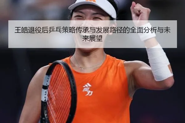 王皓退役后乒乓策略传承与发展路径的全面分析与未来展望