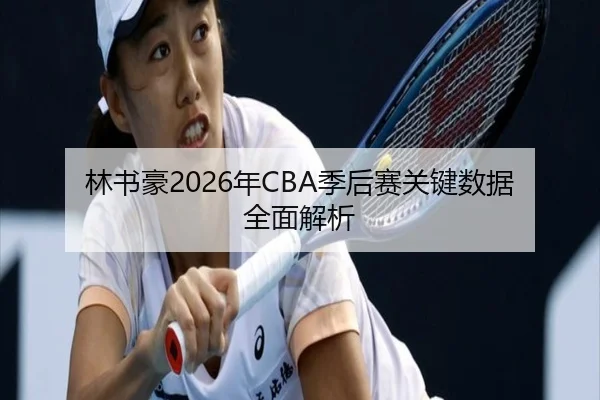 林书豪2026年CBA季后赛关键数据全面解析