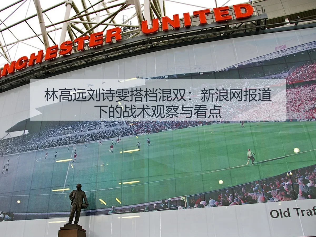 林高远刘诗雯搭档混双：下的战术观察与看点